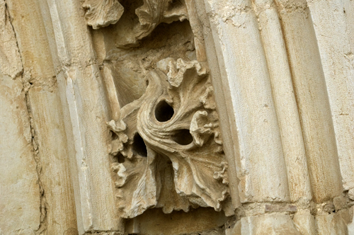Hohas de berza en la portada de la iglesia del Sandoval